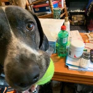 Meet your Posher, Lori